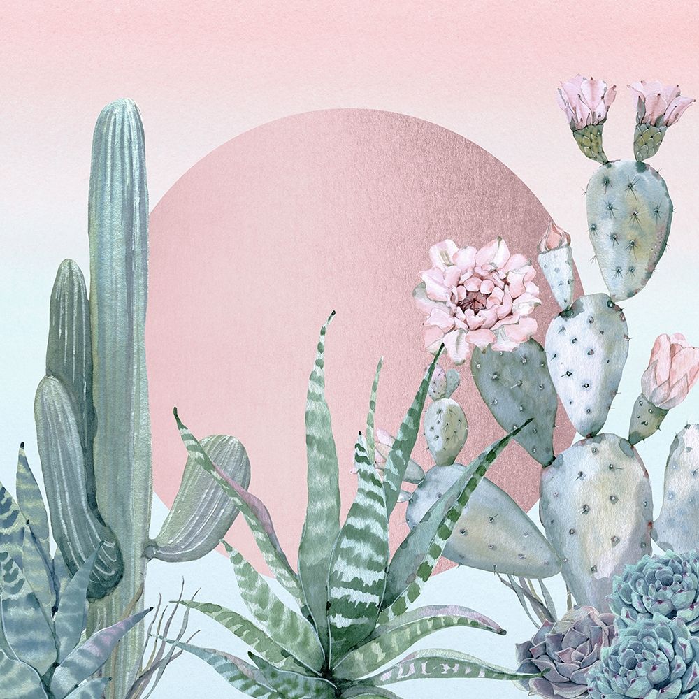 Art Print: Desert Sunset Cactuses and Succulents