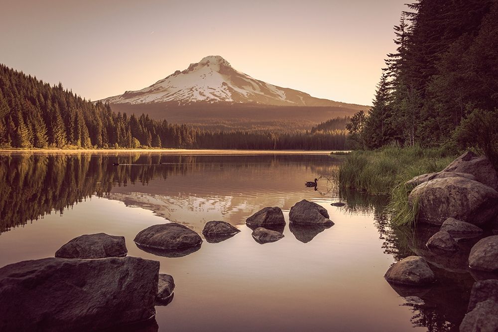 Wall art: Mountain Forest Lake Sunrise, by Nature Magick