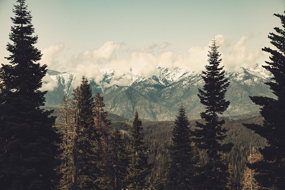 Art Print: Snow Capped Mountain Forest