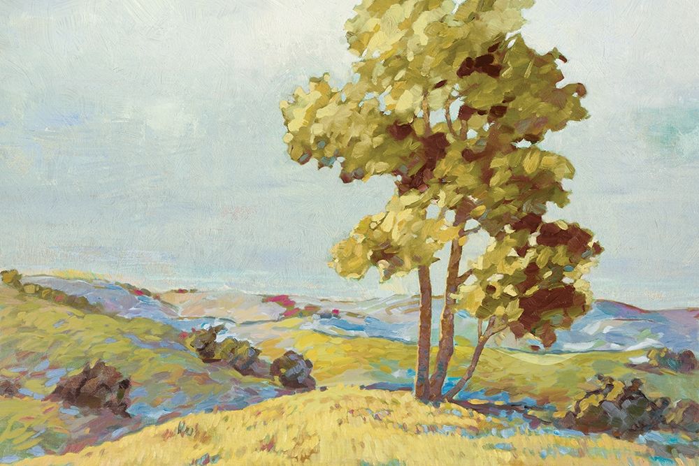 Art Print: Sandhills I