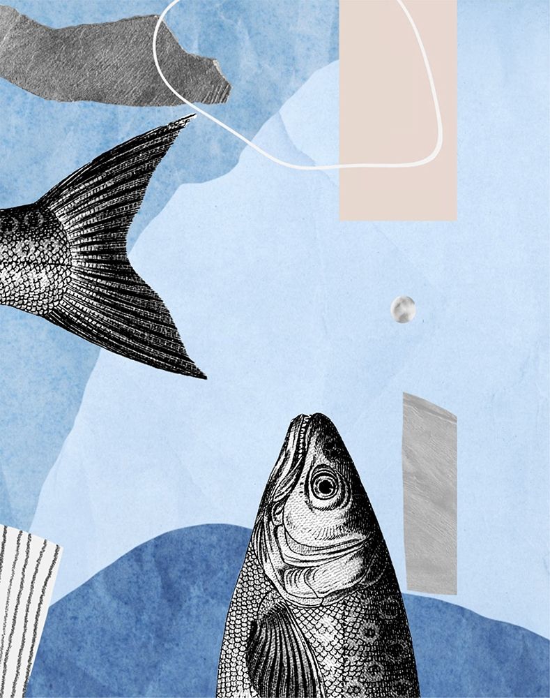 Wall Art Painting id:395539, Name: Top and Tail I , Artist: Smith, Karen