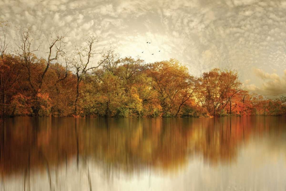 Wall Art Painting id:59424, Name: Floating Foliage, Artist: Jenney, Jessica