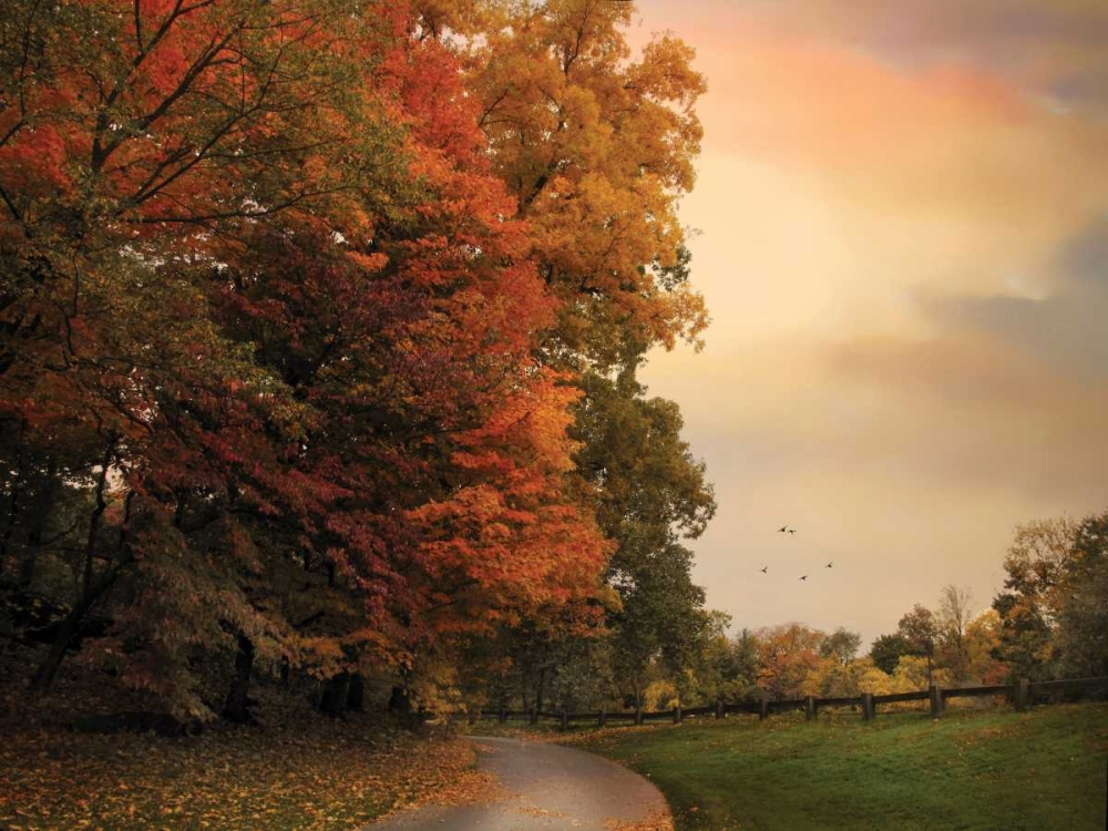 Wall Art Painting id:59426, Name: Turning, Artist: Jenney, Jessica