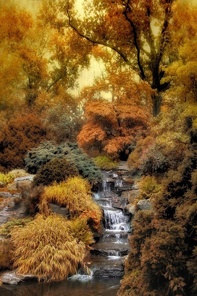 Wall Art Painting id:386993, Name: Japanese Rock Garden, Artist: Jenney, Jessica