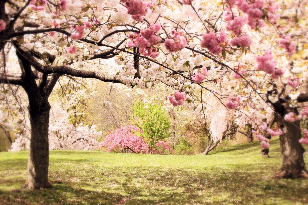 Similar wall art painting: 424752