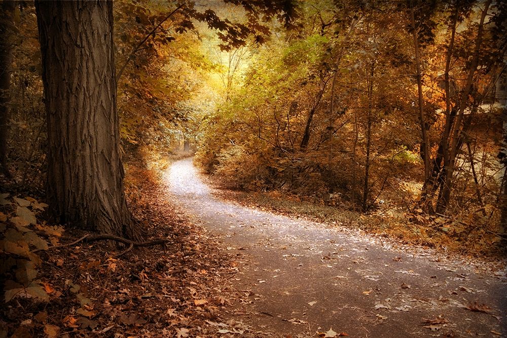 Wall Art Painting id:309081, Name: Enlightened, Artist: Jenney, Jessica