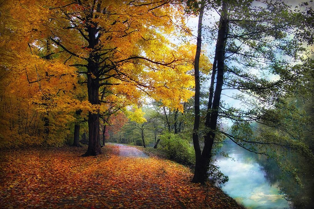 Wall Art Painting id:383845, Name: Autumn River View, Artist: Jenney, Jessica