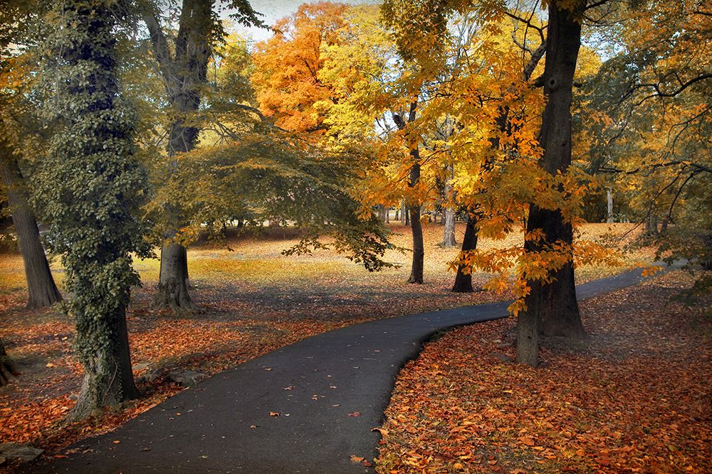 Wall Art Painting id:445495, Name: Entrance to Autumn, Artist: Jenney, Jessica
