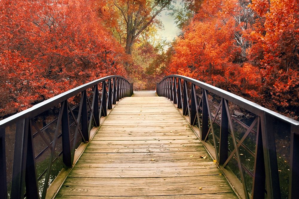 Wall Art Painting id:228088, Name: Ardent Autumn , Artist: Jenney, Jessica