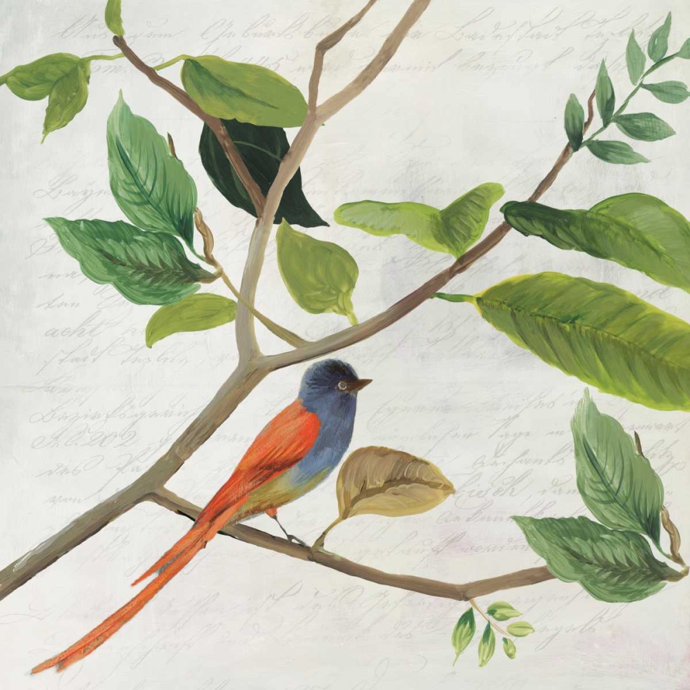 Wall art: Singing Bird II, by Jensen, Asia