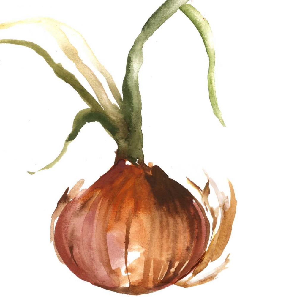 Wall art: Onion, by Jensen, Asia