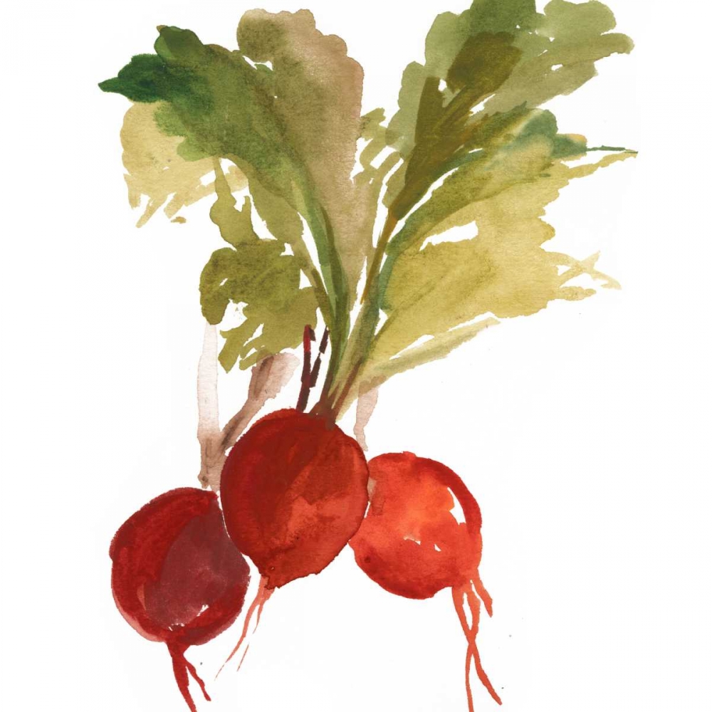 Wall art: Radish, by Jensen, Asia