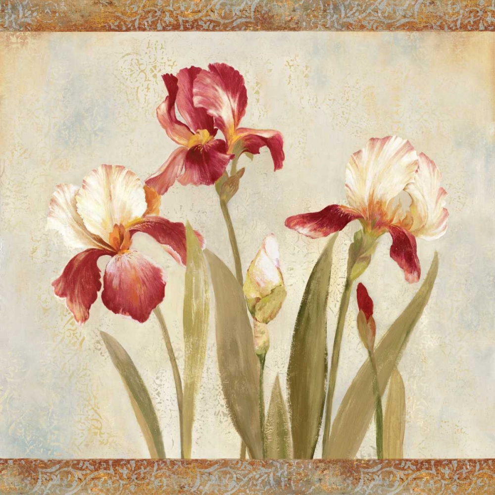 Wall Art Painting id:10845, Name: Iris Tapestry II, Artist: Jensen, Asia
