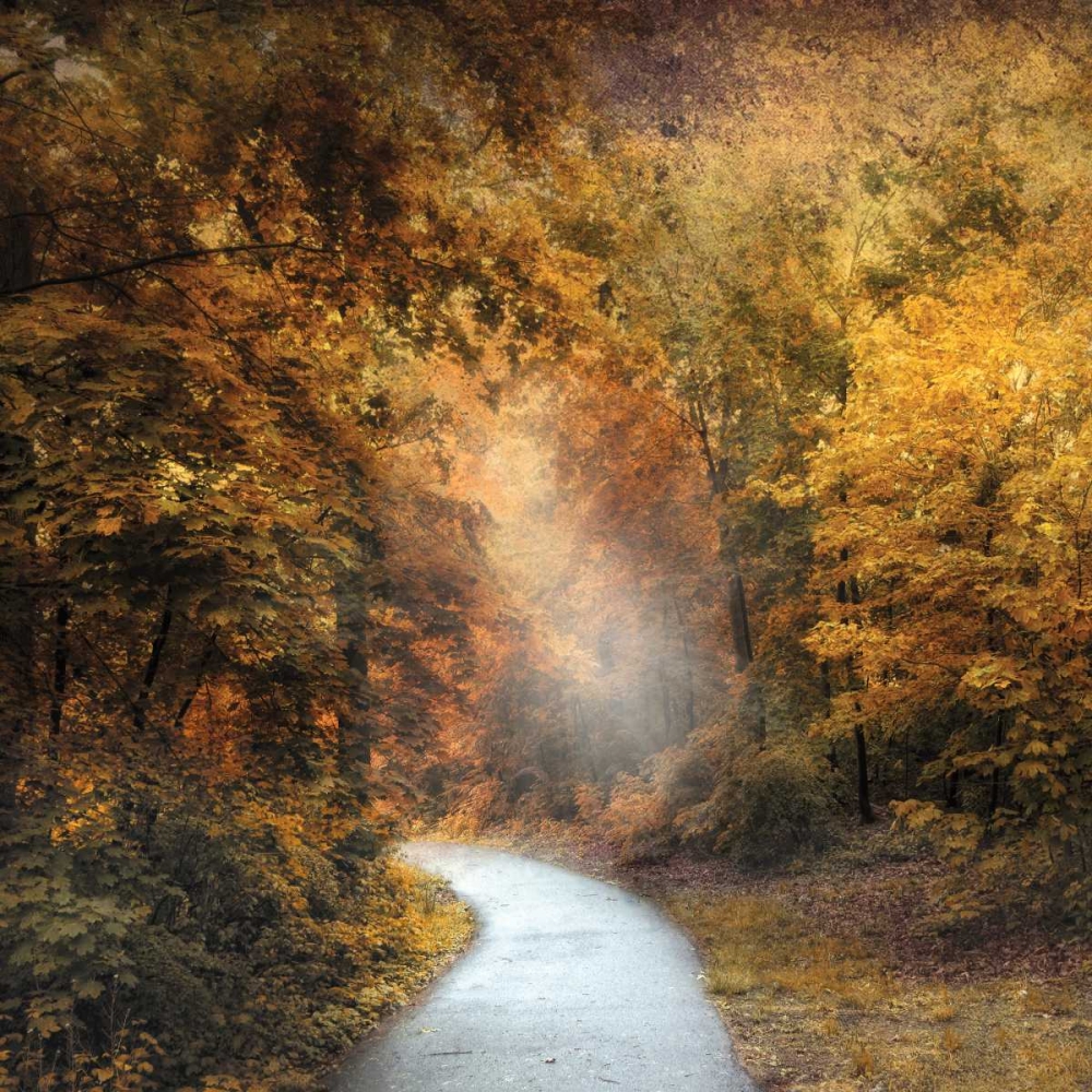 Wall Art Painting id:30394, Name: October Trail, Artist: Jenney, Jessica