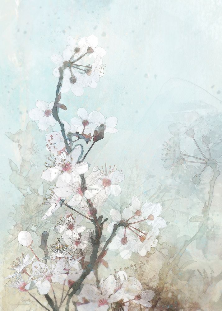 Wall art: Climbing Cherry Blossoms II , by Roko, Ken