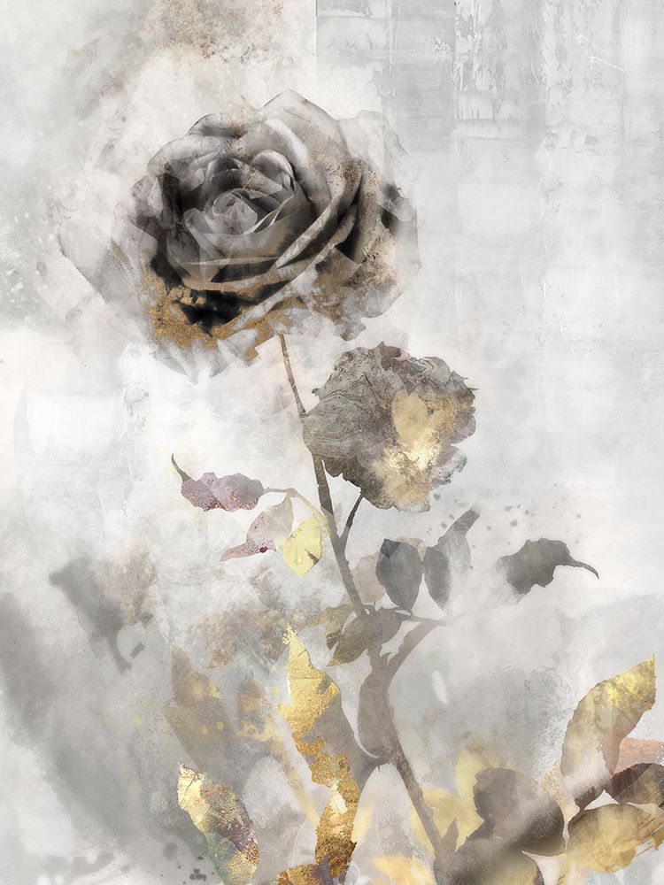 Wall Art Painting id:548238, Name: Black Roses II, Artist: Roko, Ken