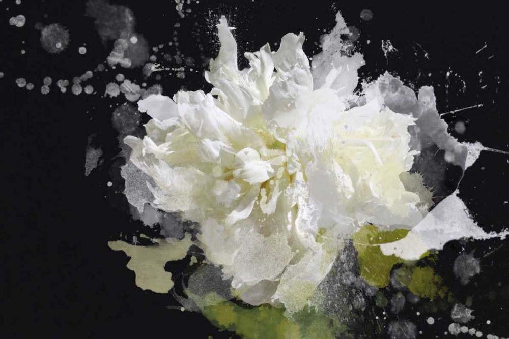 Wall Art Painting id:126609, Name: Blow Away on the Wind I, Artist: Orlov, Irena