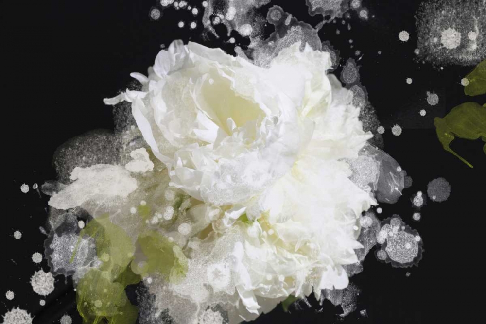 Wall Art Painting id:126610, Name: Blow Away on the Wind II, Artist: Orlov, Irena