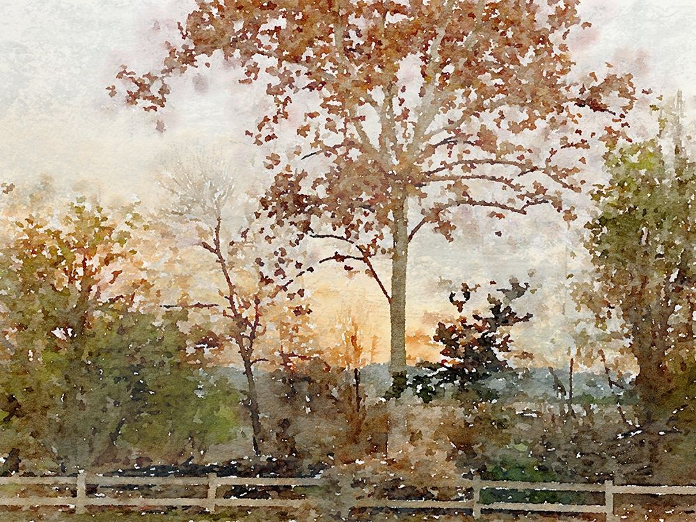 Art Print: Quiet place I