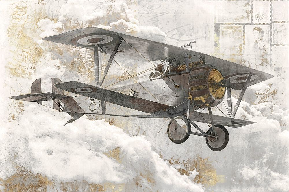 Wall Art Painting id:338694, Name: Airplane I , Artist: Roozbeh