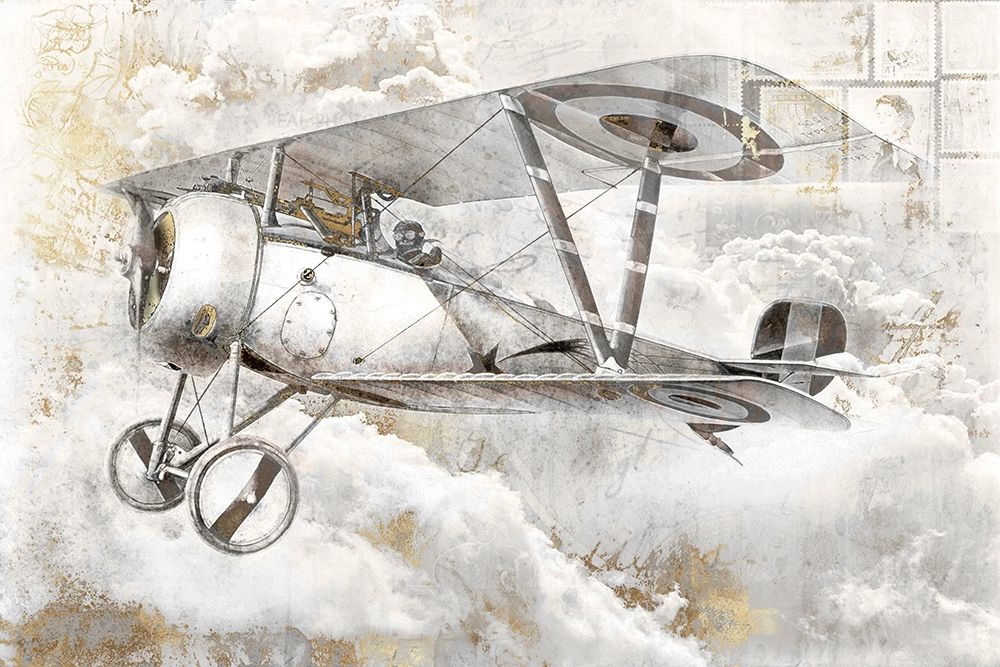 Wall Art Painting id:335905, Name: Airplane II, Artist: Roozbeh