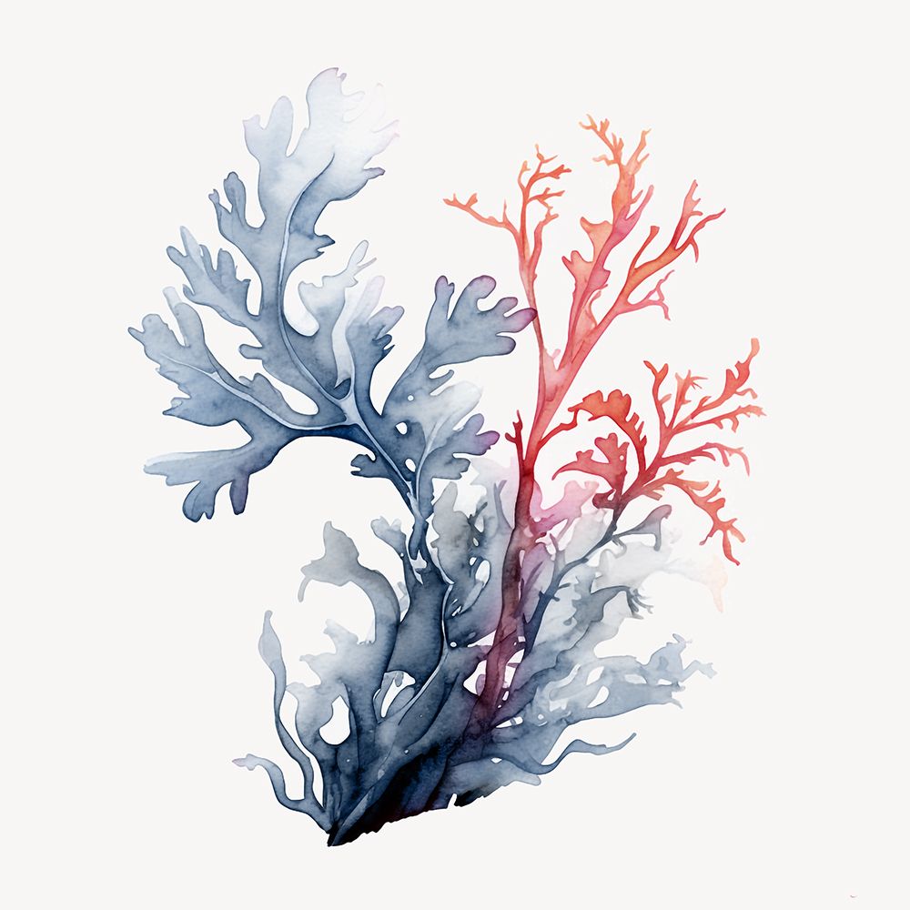 Wall Art Painting id:658068, Name: Ocean Blooms I, Artist: Roozbeh