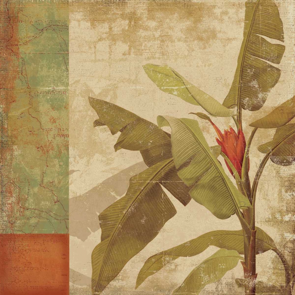 Art Print: Planta