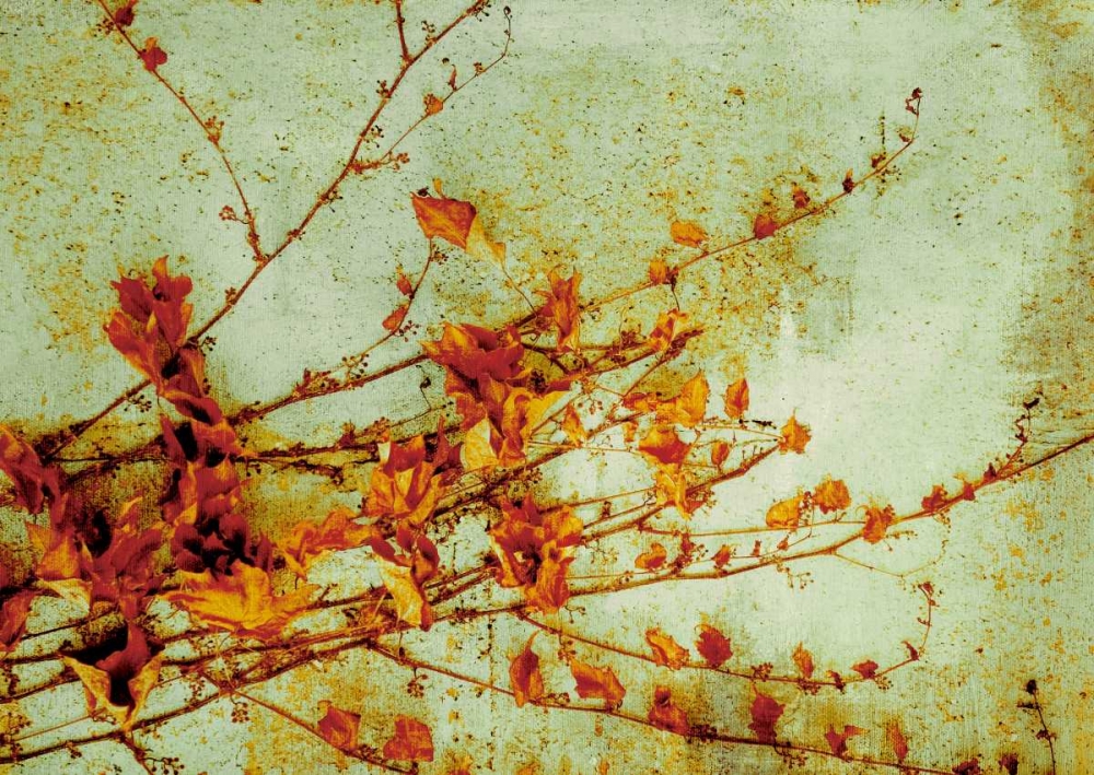 Wall Art Painting id:13415, Name: Persimmon, Artist: PI Studio