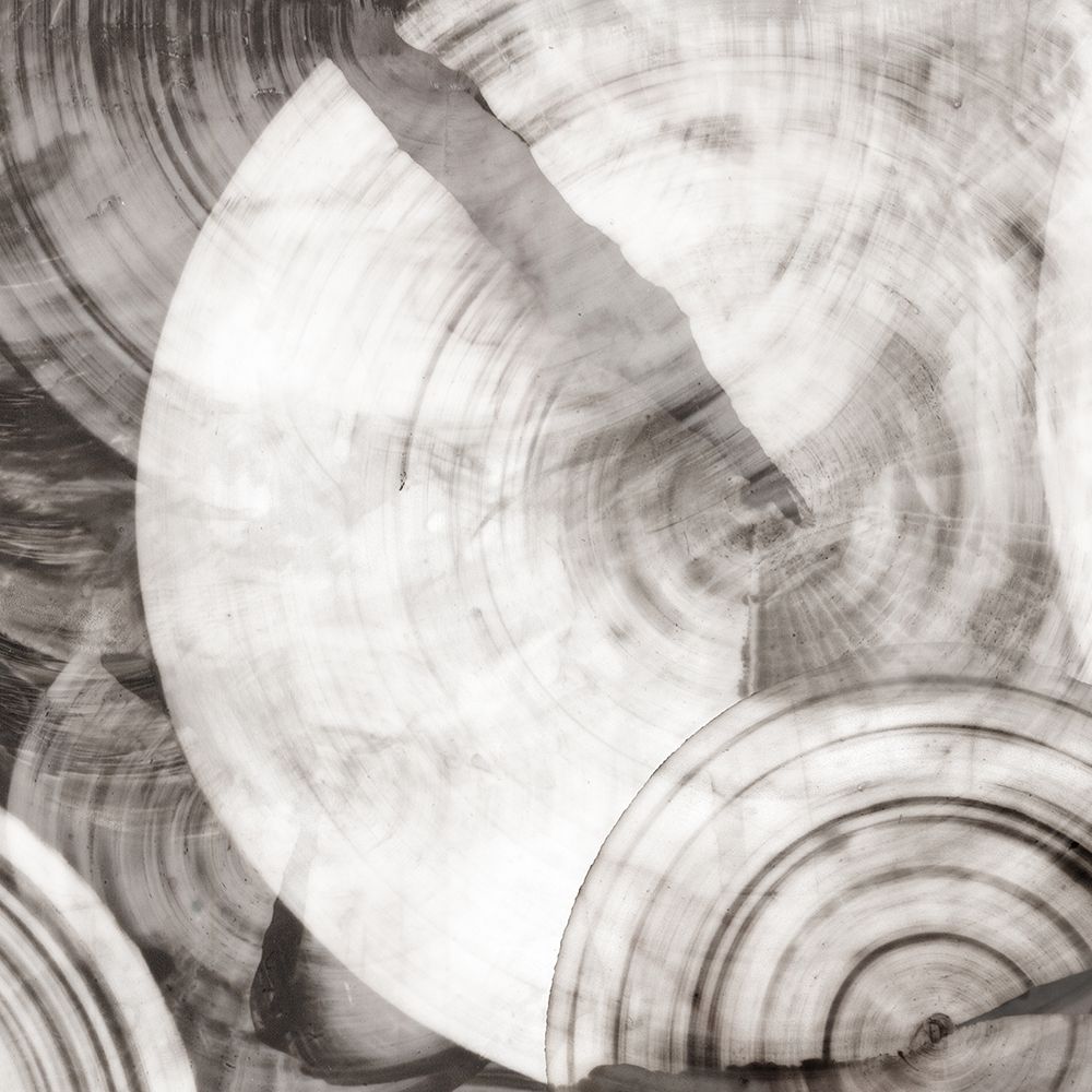 Wall Art Painting id:769744, Name: Timeless Rings I, Artist: PI Studio