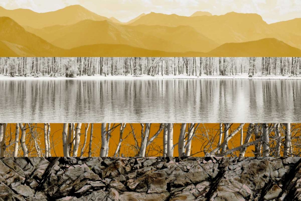 Wall Art Painting id:119450, Name: Nature Collage I, Artist: PI Studio
