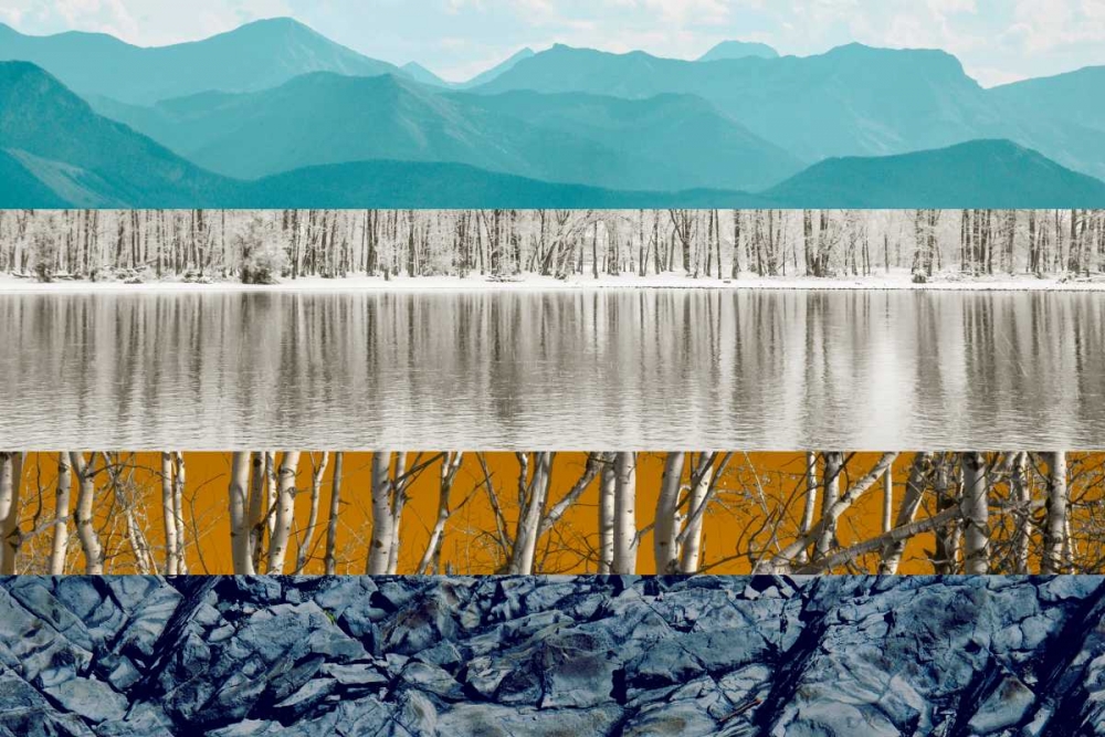 Wall art: Nature Collage II, by PI Studio