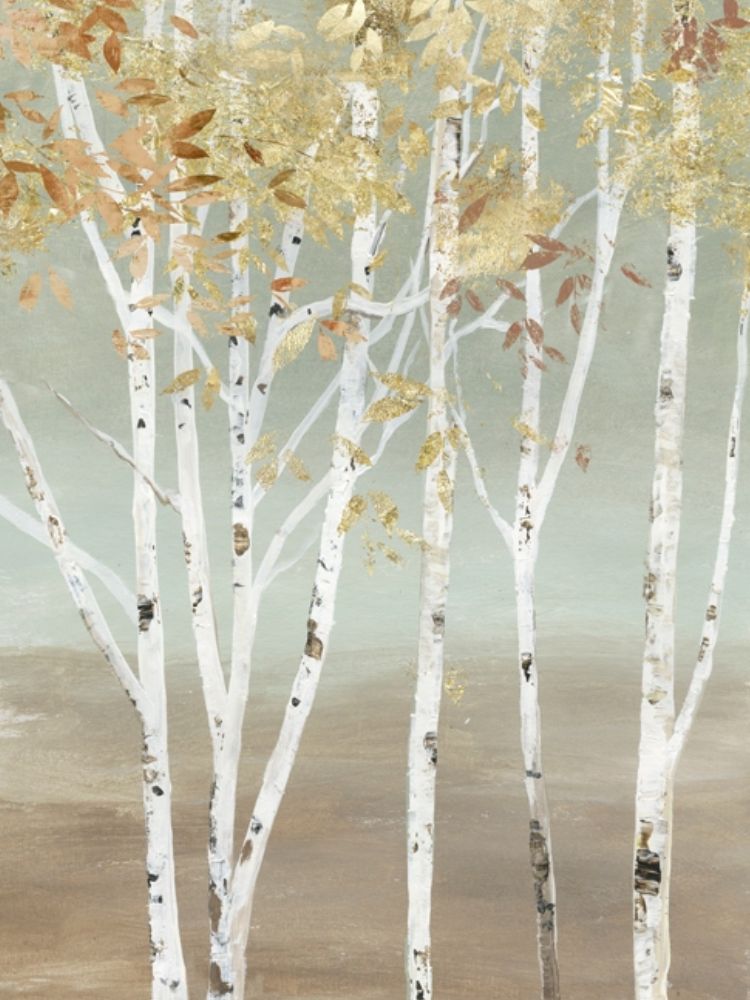 Art Print: Golden Birch