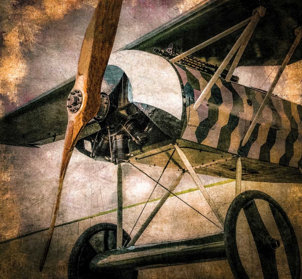 Art Print: Fokker DVIII