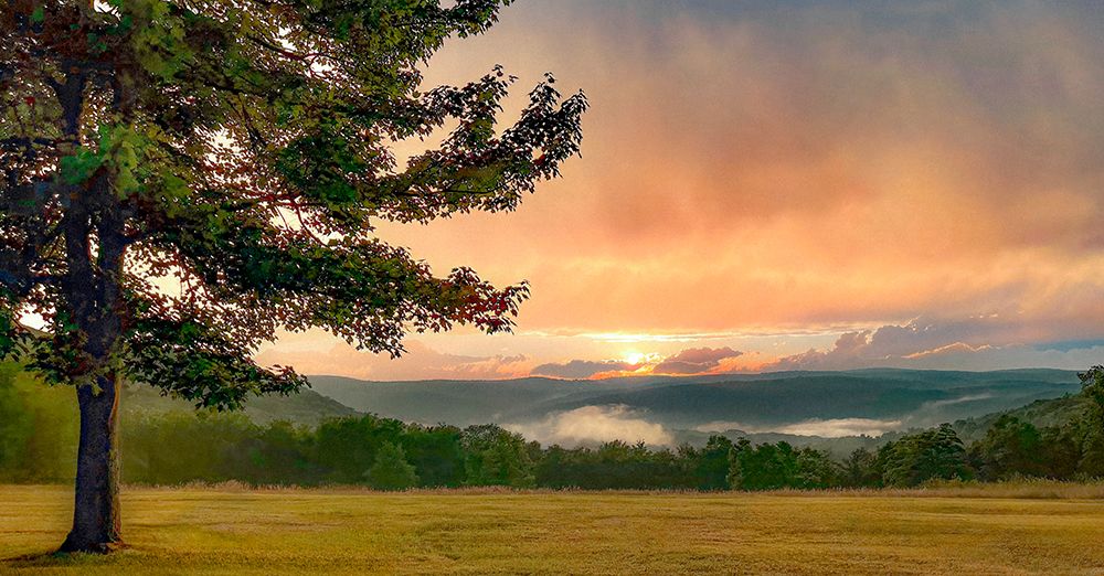 Art Print: Hill Meadow