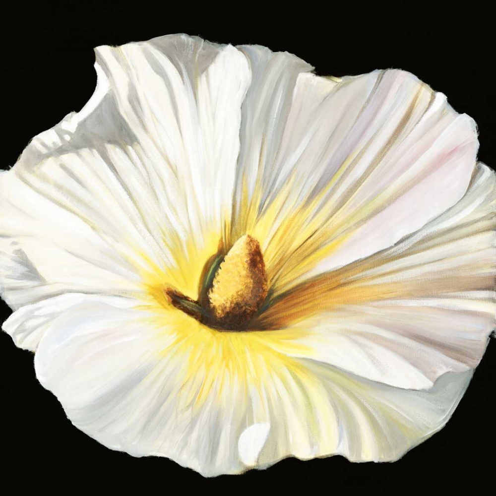 Wall Art Painting id:126642, Name: White Bloom II, Artist: Iafrate, Sandra