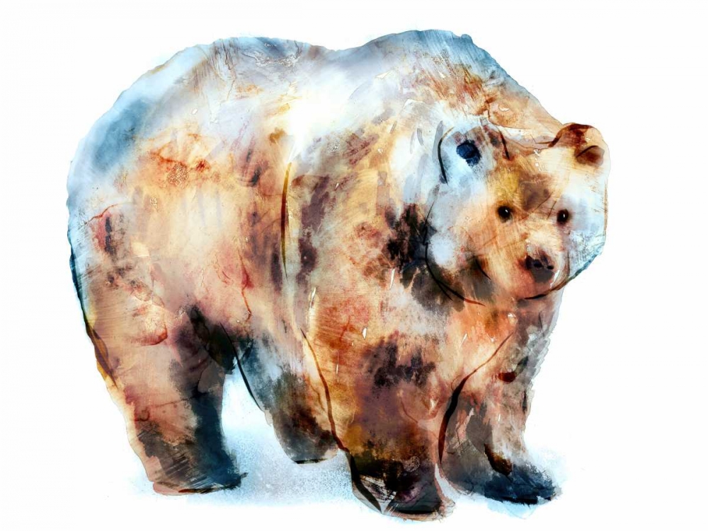 Art Print: Bear