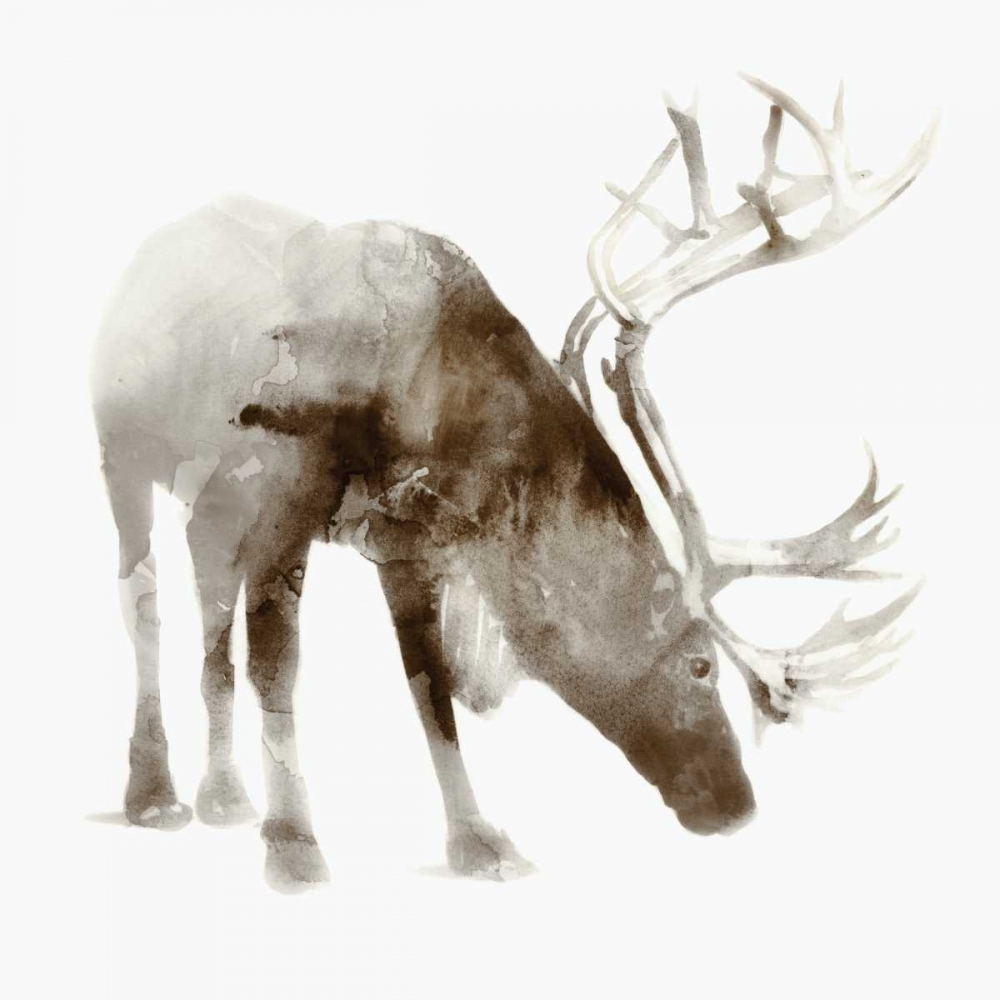 Wall art: Caribou, by Selkirk, Edward