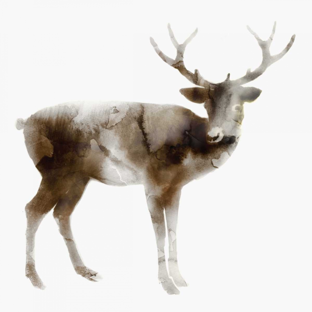 Wall art: Stag, by Selkirk, Edward