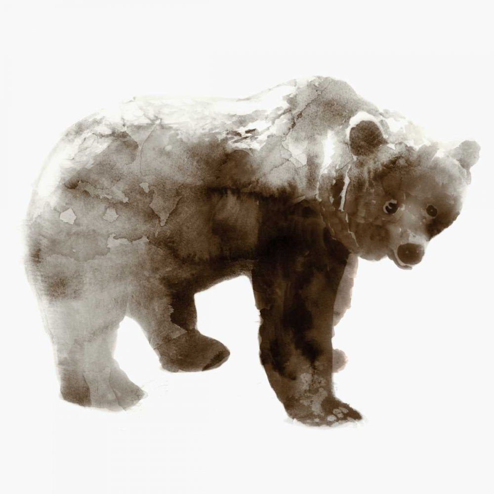 Wall art: Bear, by Selkirk, Edward
