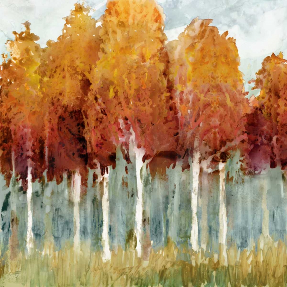 Wall art: Birch I, by Selkirk, Edward