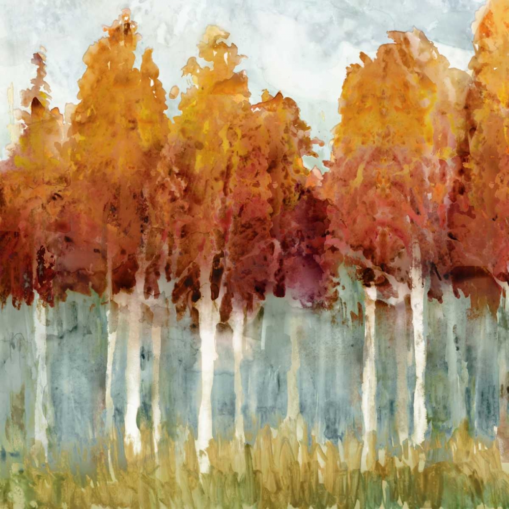 Wall art: Birch II, by Selkirk, Edward