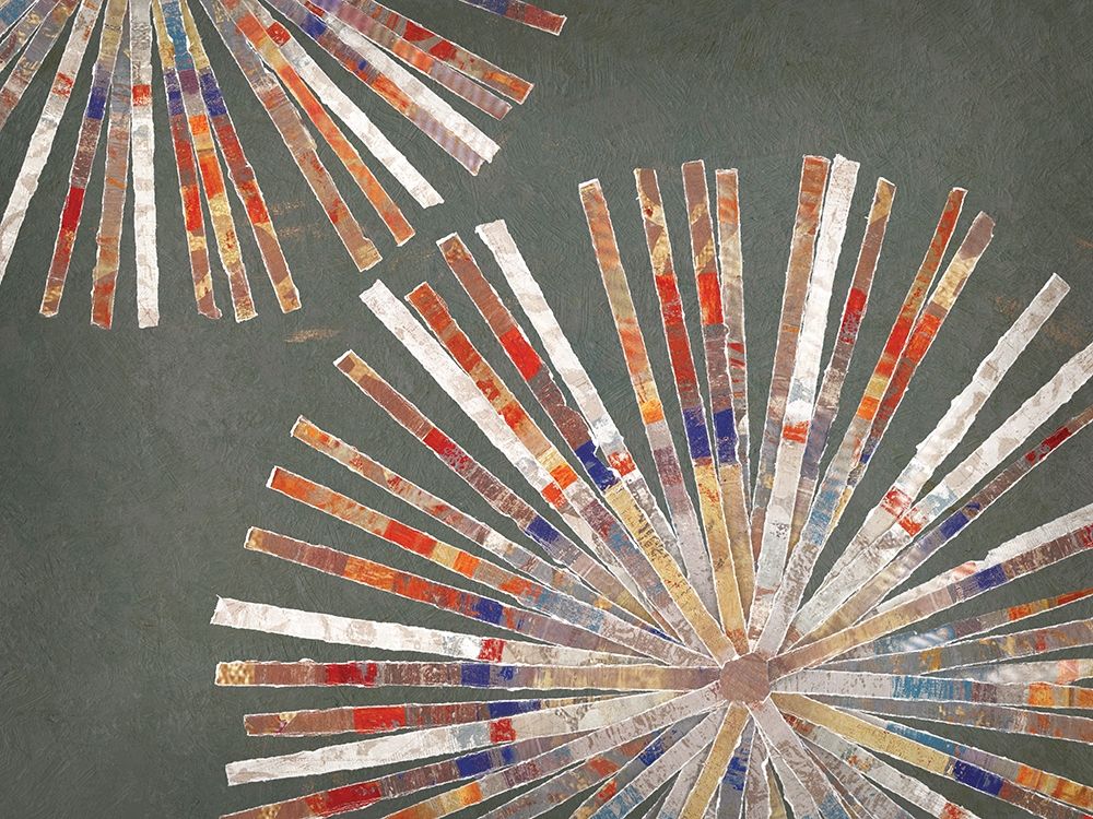 Wall art: Disk I Warm Version, by Selkirk, Edward