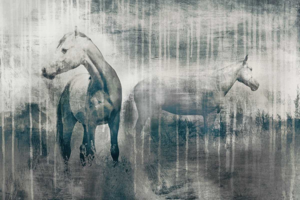 Wall Art Painting id:78911, Name: Grey Serenade, Artist: Selkirk, Edward