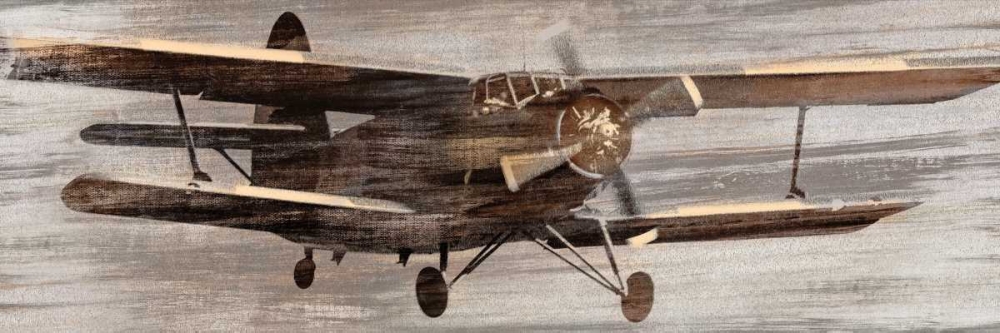 Wall Art Painting id:30494, Name: Craving Altitude, Artist: Selkirk, Edward