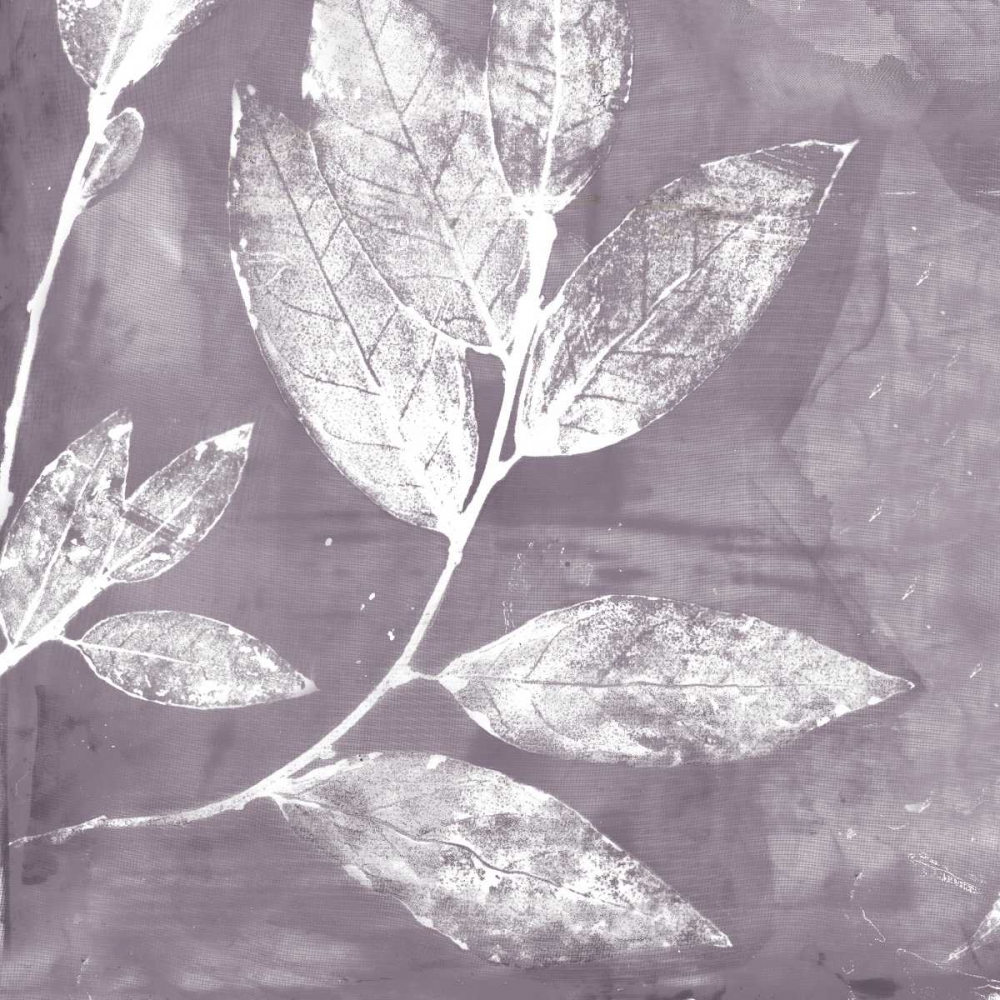 Wall Art Painting id:149636, Name: Petal Imprint I, Artist: Theodosiu, Matina