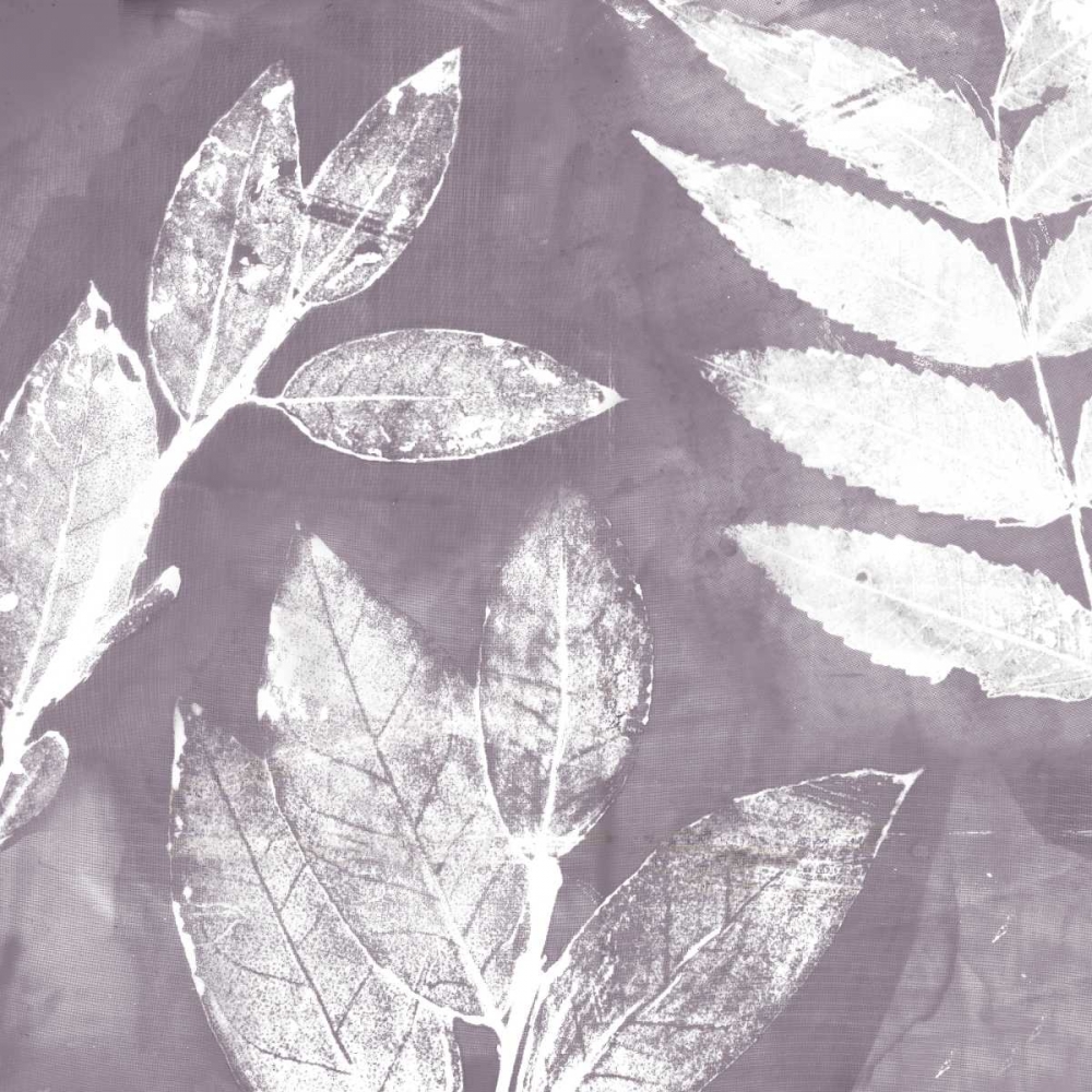 Art Print: Petal Imprint II