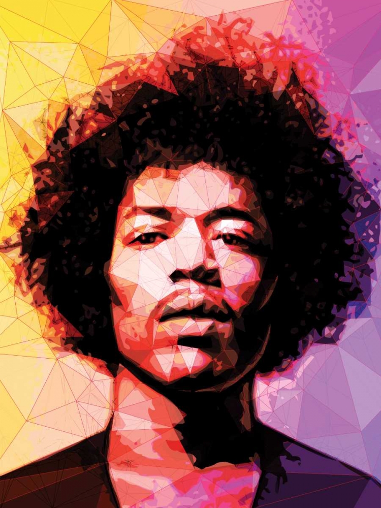 Wall Art Painting id:30498, Name: Jimi, Artist: Varrasso, Enrico