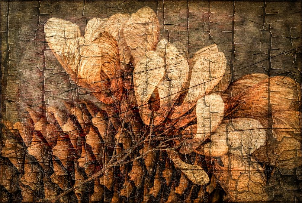 Wall art: Autumnal Details I, by Vincze