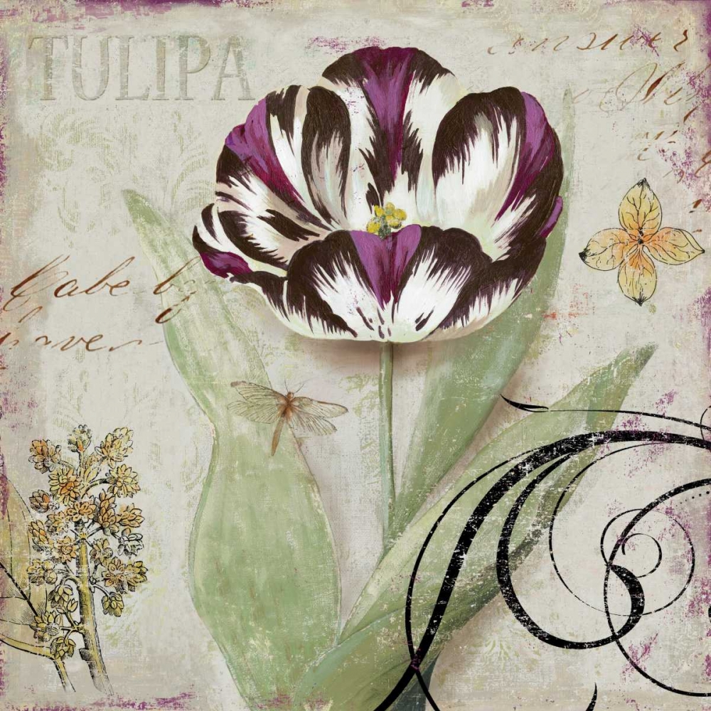 Wall Art Painting id:11008, Name: Tulipa II, Artist: Wilson, Aimee
