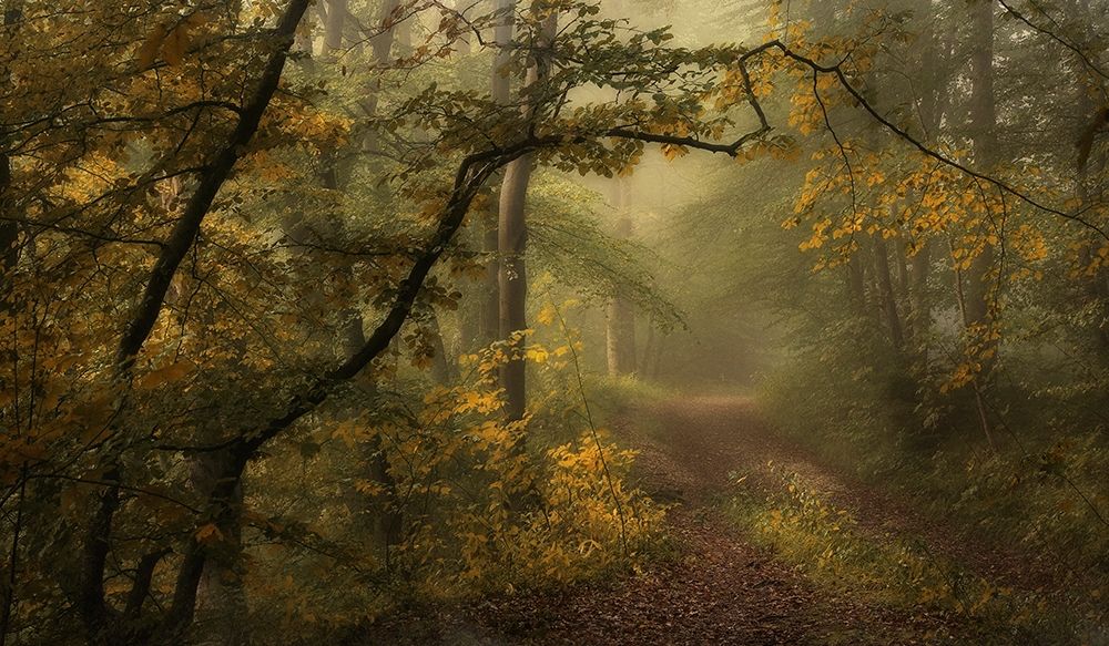 Art Print: Maier - A Sorrow Beyond Dreams 